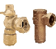 Dual Check Valves and Meter Valves