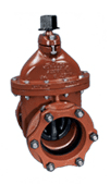 Resilient Wedge Tapping Valve & Connection and Restraint Systems
